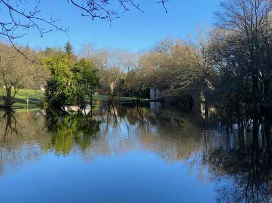 3 Maisons + Dépendances + 2 Etangs + 11 Hectares 56540 Saint-Tugdual
